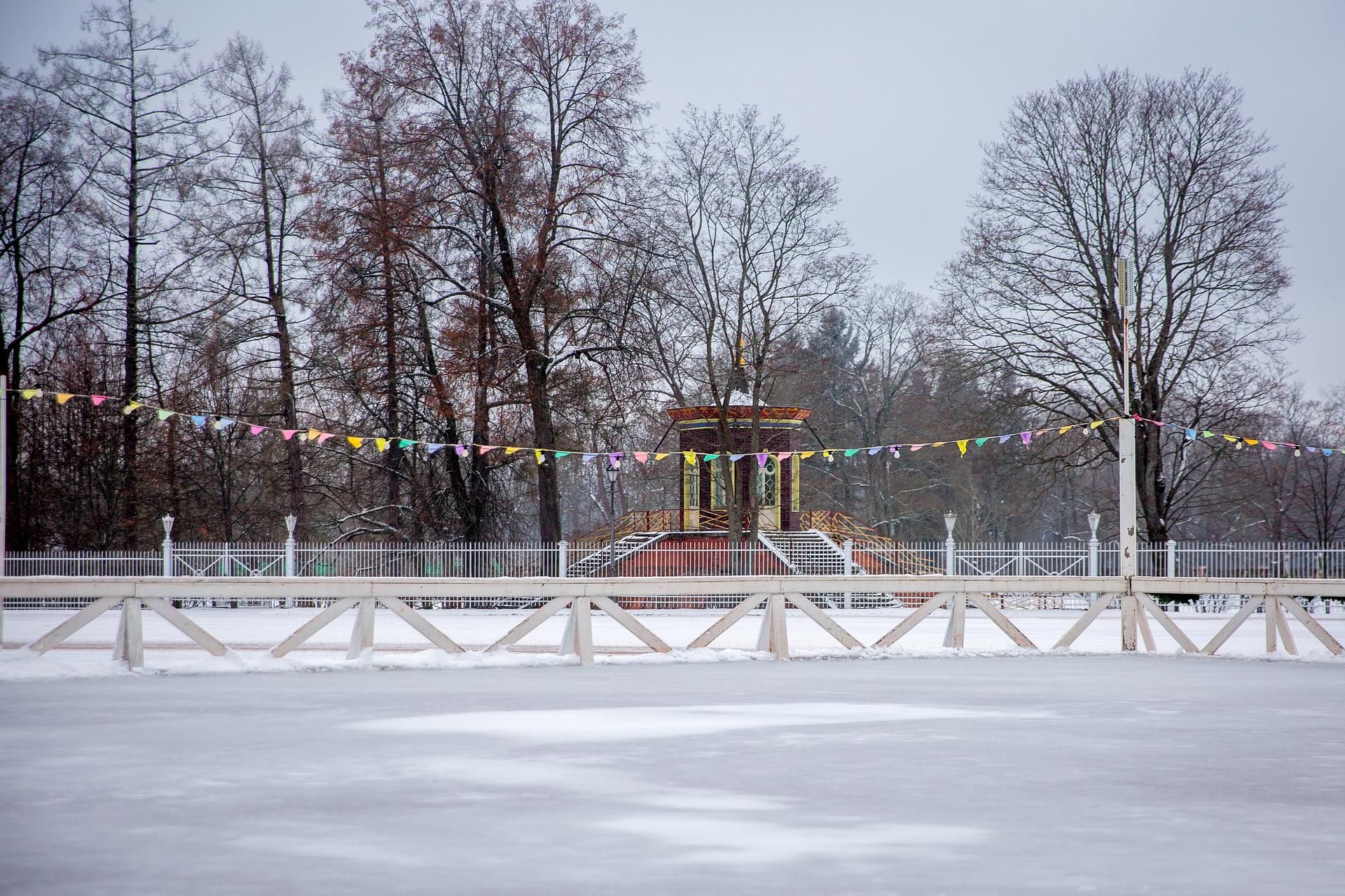 Новогодний Санкт-Петербург+ Карелия